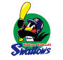 東京ヤクルトスワローズ