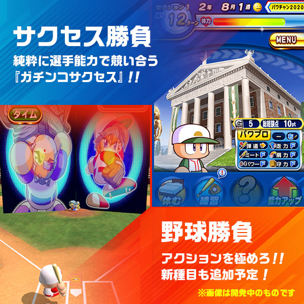 今年のポイント