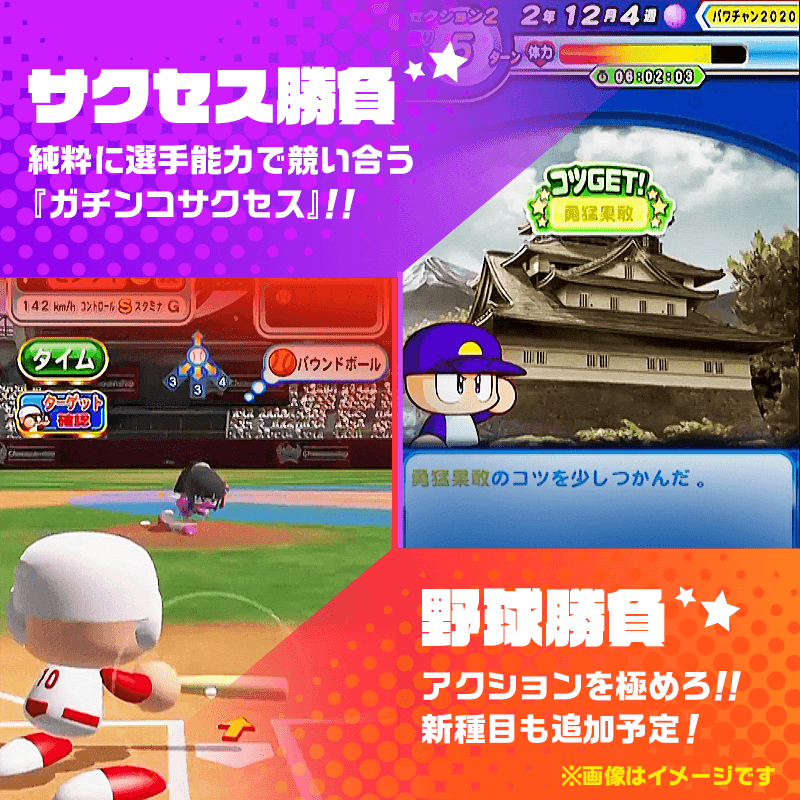 今年のポイント
