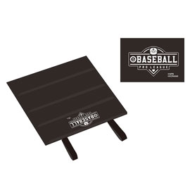 eBASEBALL プロリーグ 観戦クッション