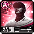 Aランク特訓コーチ